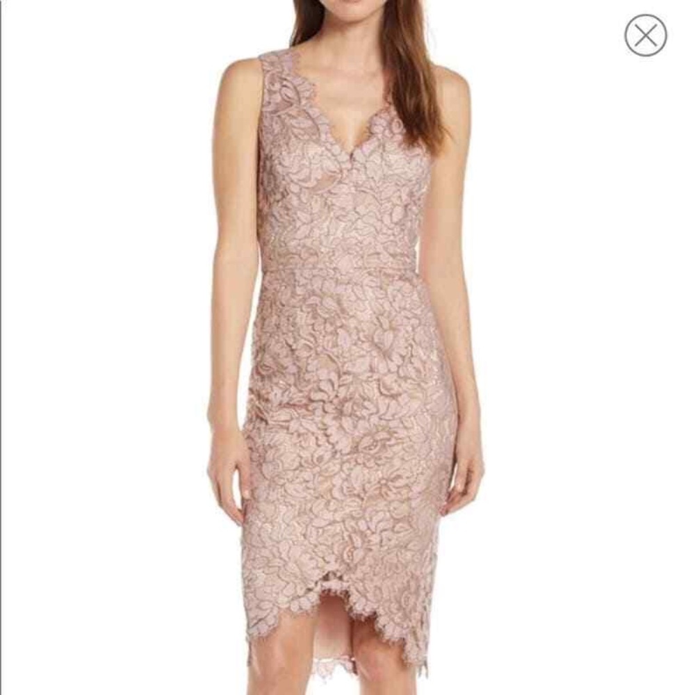 NWT. Women's Eliza J Tulip Hem Lace Cocktail Dress, Size 6